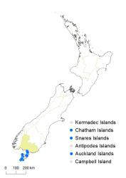 Asplenium scleroprium distribution map based on databased records at AK, CHR, OTA & WELT.
 Image: K. Boardman © Landcare Research 2017 CC BY 3.0 NZ